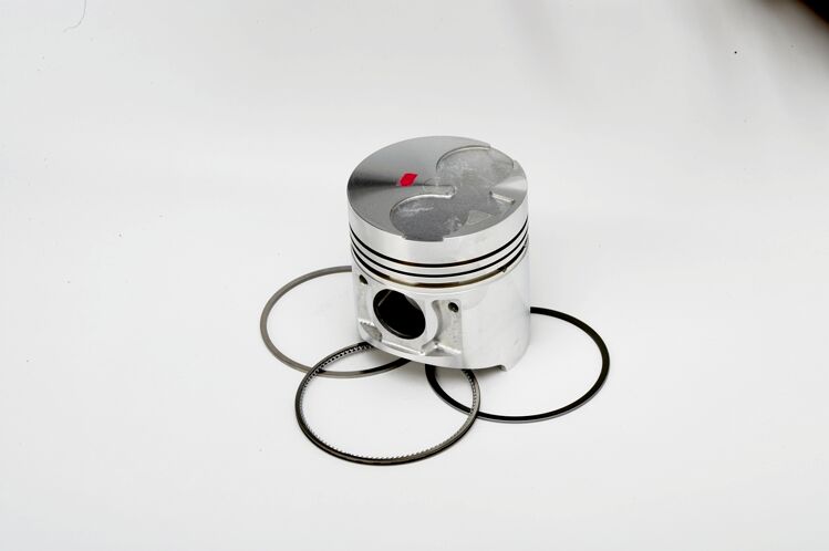 115017490 / T436364 PISTON ONLY (STANDARD)+ RING